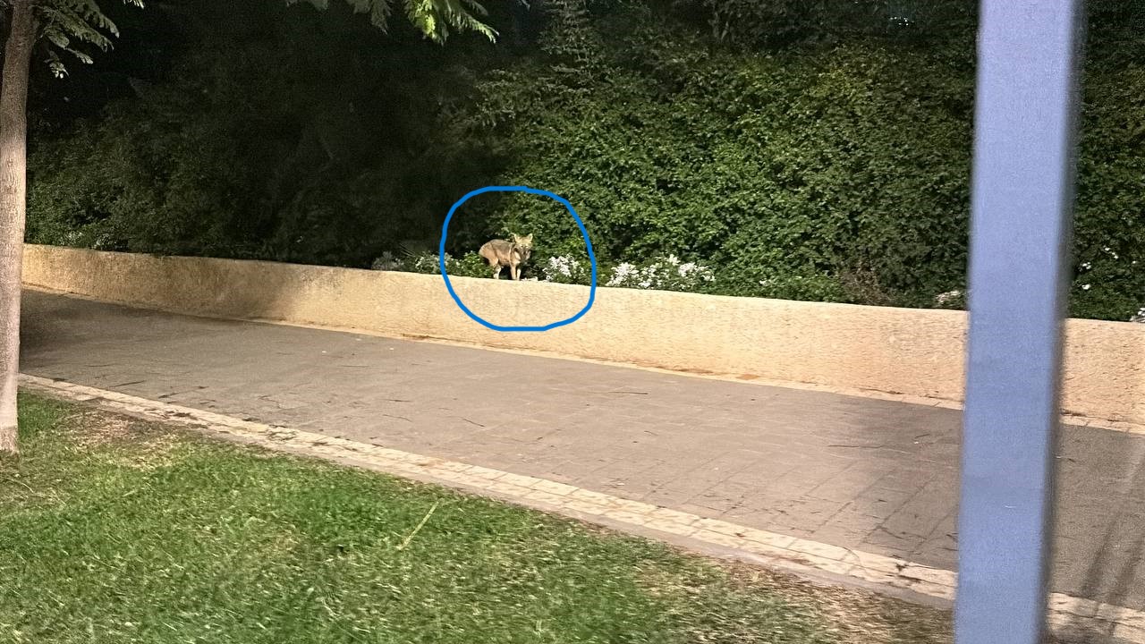 photo_5906915243299292147_y (1).jpg